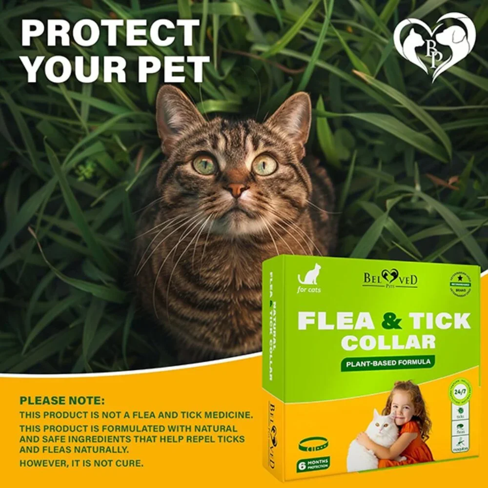 New Natural Flea and Tick Collar for Cats with 6 Month Protection